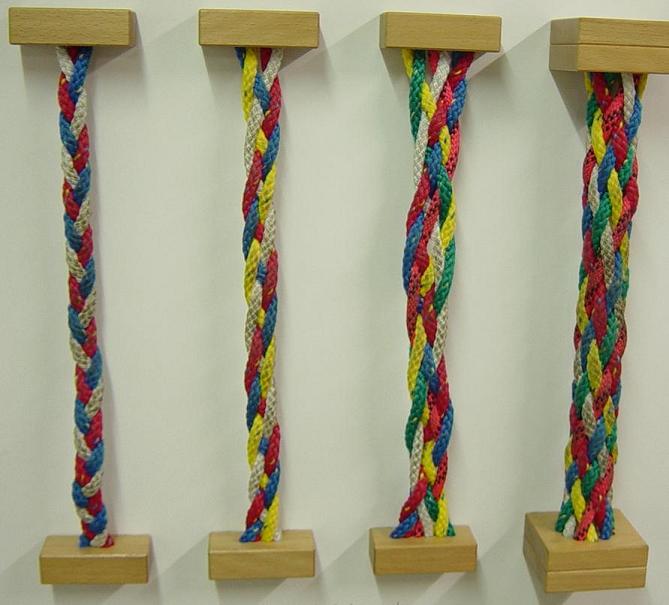 113 braids.JPG
